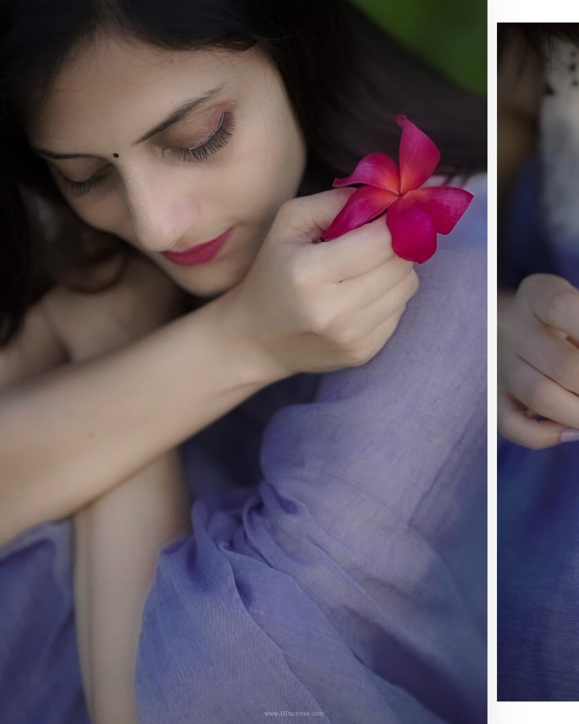 Reshma Vipin Nambiar in lavender-blue cotton saree Reshma Vipin Nambiar in lavender-blue cotton saree