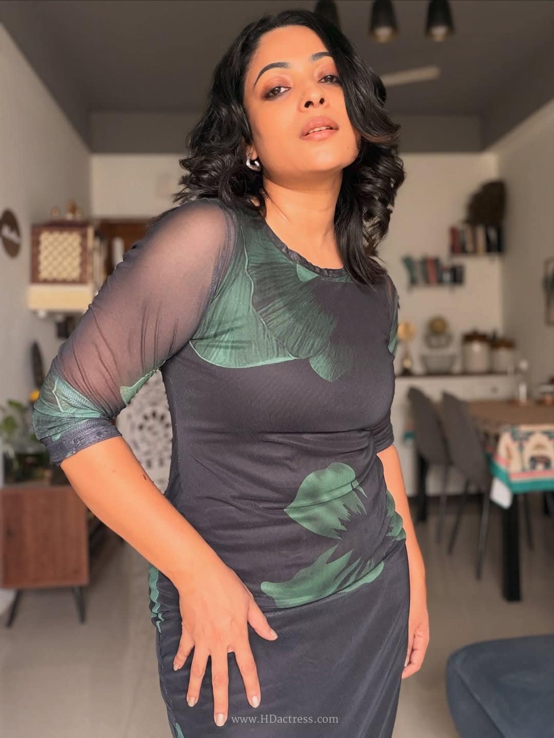 Anjali Rao Redefines Sheer Elegance in Stunning Mesh Long-Sleeve Dress