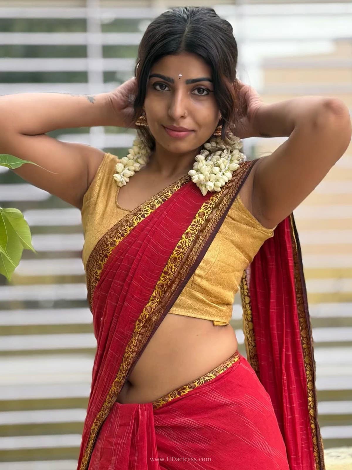 Shyamala Dattaraj in red cotton saree and gold blouse Shyamala Dattaraj in red cotton saree and gold blouse