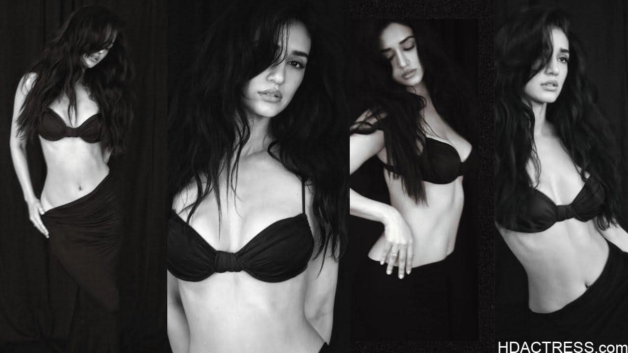 Disha Patani bikini Disha Patani photoshoot Bollywood actress bikini pics Disha Patani black bikini Disha Patani viral pics Disha Patani beach look Bollywood bikini photoshoot Disha Patani bikini Disha Patani photoshoot Bollywood actress bikini pics Disha Patani black bikini Disha Patani viral pics Disha Patani beach look Bollywood bikini photoshoot